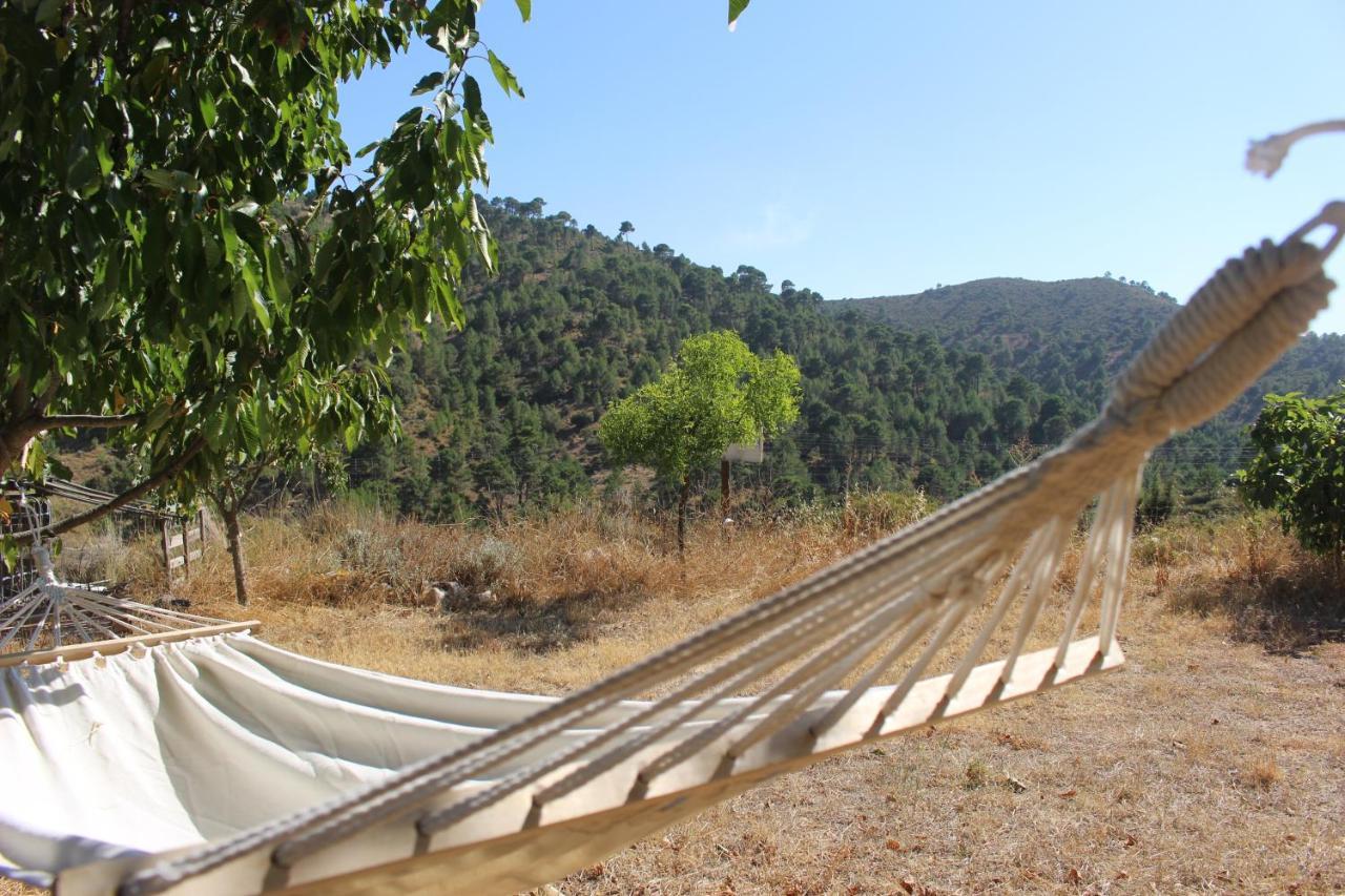 Esencia Lodge - Luxurious Off-Grid Cabin Retreat Almuñécar Exterior foto